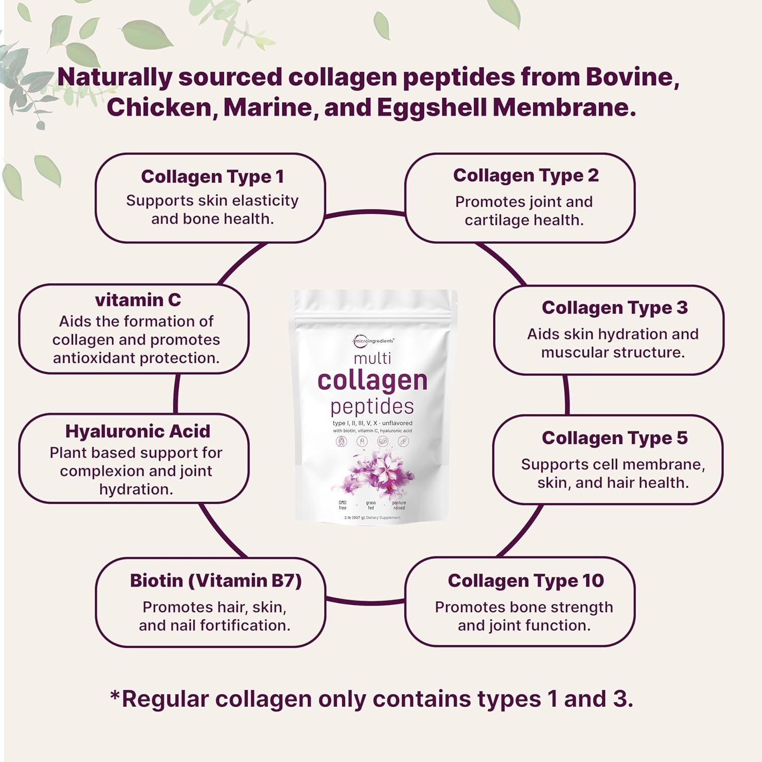 Multi Collagen Protein Powder, 2Lbs – Hydrolyzed Collagen Peptides | Type I,II,III,V,X with Biotin 10000Mcg, Hyaluronic Acid, Vitamin C – Unflavored – Keto & Paleo Friendly, Easy Dissolve, Non-Gmo