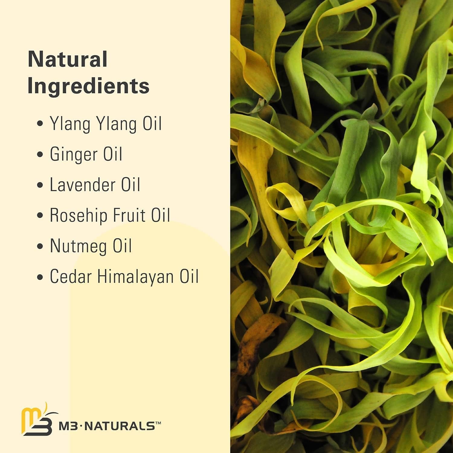 Ylang Ylang + Ginger Massage Oil